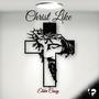 Christ Like