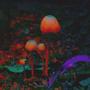 The Gardener (Explicit)