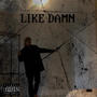 Like Damn (feat. PNE Playboy) [Explicit]