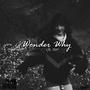 wonder why (feat. Ito) [Explicit]