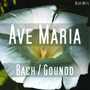 Ave Maria ( Bach , Gounod )