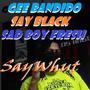 SAY WHUT fet (SAYBLACK, SADBOI FRESH) [Explicit]