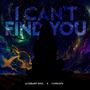 I Can't Find You