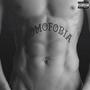 Homofobia (Explicit)