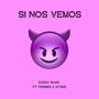 Si nos vemos (feat. Terrier & Stone) [Explicit]