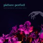 Picture Perfect (Explicit)