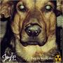 Perro nuclear (Explicit)