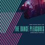 The Dance Pleasures - Deep House Music For Christmas Parties