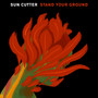 Stand Your Ground
