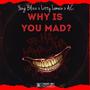 Why Is You Mad? (feat. Yung Blizz) [Explicit]