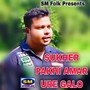 SUKHER PAKHI AMAR URE GALO