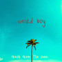 Weird Boy (Lofi Chillpop Moods)