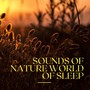 Sounds of Nature World of Sleep
