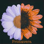 Primavera (feat. Gianni Ferrari)