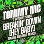 Breakin' Down (Hey Baby) [feat. Beverley Skeete] [James Alexandr Remix]