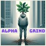 Alpha Grind (Explicit)