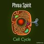 Cell Cycle