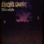 Afterlife
