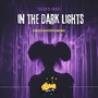 In The Dark Lights (Fabien Pizar Hypertechno Mix)