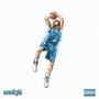 Nowitzki (Explicit)