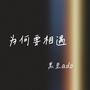 为何要相遇