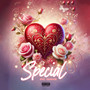 Special (Explicit)