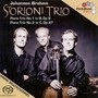 BRAHMS, J.: Piano Trios Nos. 1 and 2 (Storioni Trio)