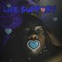 Life Support (Explicit)