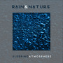 Rain & Nature Sleeping Atmosphere: 2019 Collection of Ambient Music with Sounds of Rain, Wind and Forest, Perfect Songs for Sleep, Relax, Calming Down and Vital Energy Regeneration