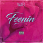 Feenin (Explicit)