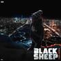 Black sheep (feat. Lilteej) [Explicit]