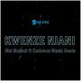 Kwenze Njani (feat. Embrace Music Beats)