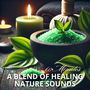 60 Minutes (A Blend of Healing Nature Sounds for Meditation, Spa, Yoga, Study, Sleep, Massage, and Reiki - Ultimate Relaxation and Zen Therapy)