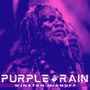 Purple Rain (Official Audio)