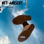 Net Anescht