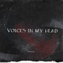 Voices In My Head