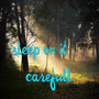 Sleep On It Carefull