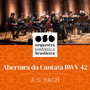 Osb Orquestra Sinfônica Brasileira - J. S. Bach: Abertura da Cantata Bwv 42 (Ao Vivo)