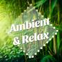 Ambient & Relax: New Age Vibes with nature Sounds and Piano Lullabies to set you in a Peaceful and S