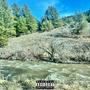 tenminutesout (Explicit)