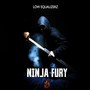 Ninja Fury