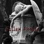 Fallen Angels (feat. Nature` Finch & Lord Superb) [Explicit]