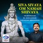 Siva Sivaya Om Namah Shivaya