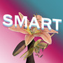 Smart (Suite for Sveta)