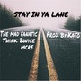 Stay in Ya Lane (feat. Themadfanatic) [Explicit]