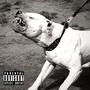 Bulldog (Explicit)