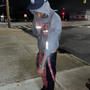 Wut u talkin im tryna slide (Explicit)