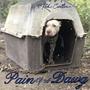 Pain Of A Dawg (Explicit)