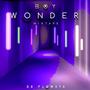 Boy Wonder (Explicit)