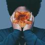 BLOOM (Explicit)
